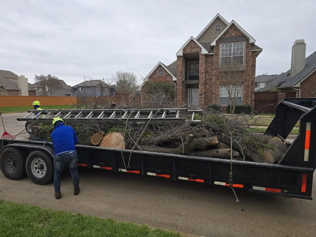 Expert Tree Removal with proper safety equipment in Buckhorn